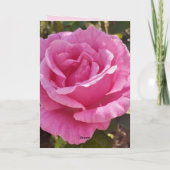 Roze Rozenbloem Bloemen Rozen Kaart (Achterkant)