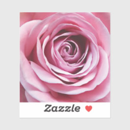 Roze rozenbloem in bloementuin sticker