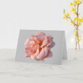 roze rozenbloem kaart (Gele Bloem)