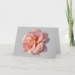 roze rozenbloem kaart