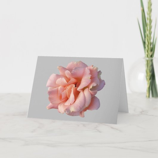 roze rozenbloem kaart (Voorkant)