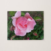 roze rozenbloem legpuzzel (Horizontaal)
