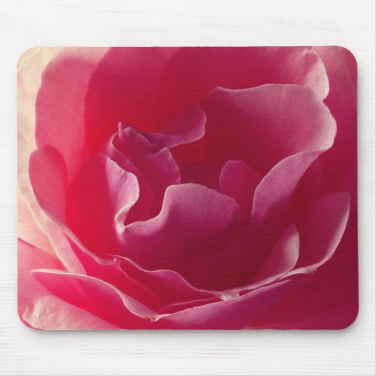 Roze rozenbloem, Mousepad Muismat (Voorkant)