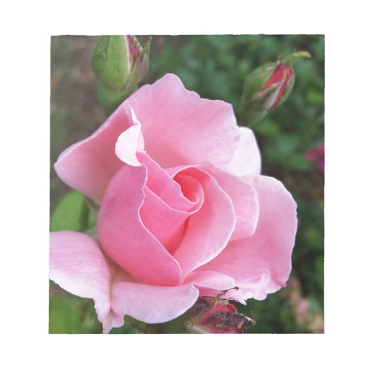 roze rozenbloem notitieblok (Voorkant)