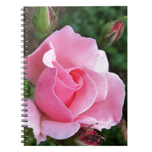 roze rozenbloem notitieboek (Voorkant)