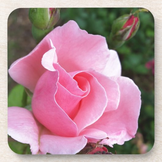roze rozenbloem onderzetter (Voorkant)