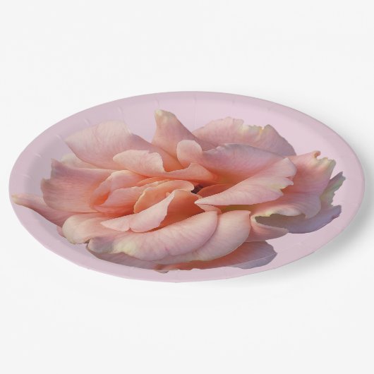 roze rozenbloem papieren bordje (Gekanteld)