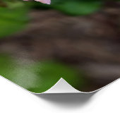 roze rozenbloem perfect poster (Hoek)