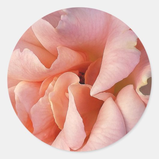 roze rozenbloem ronde sticker (Voorkant)