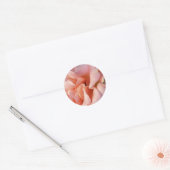 roze rozenbloem ronde sticker (Envelop)