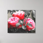 Roze rozenbloem: roze kleur Pop Canvas Afdruk (Voorkant)