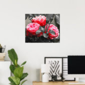 Roze rozenbloem: roze kleur Pop Poster (Thuiskantoor)