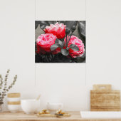 Roze rozenbloem: roze kleur Pop Poster (Keuken)