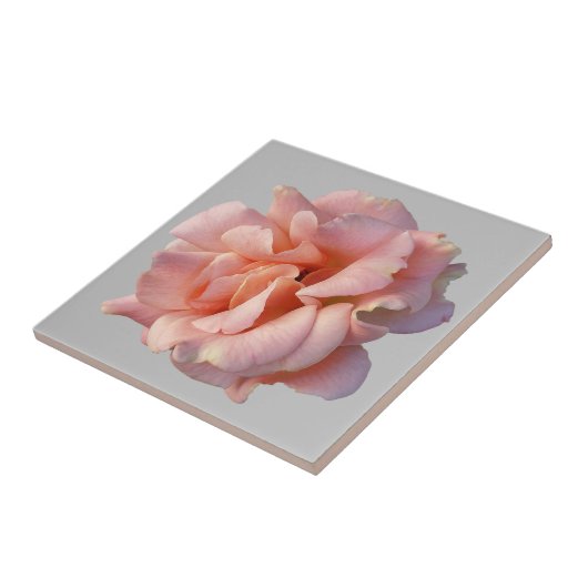 roze rozenbloem tegeltje (Zijkant)