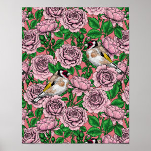 Roze rozenbloemen en goudvink vogels poster