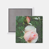 roze rozenbloemen magneet (Voorkant / Achterkant)