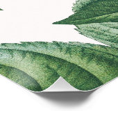 Roze rozenbloemen met groene bladeren perfect poster (Hoek)