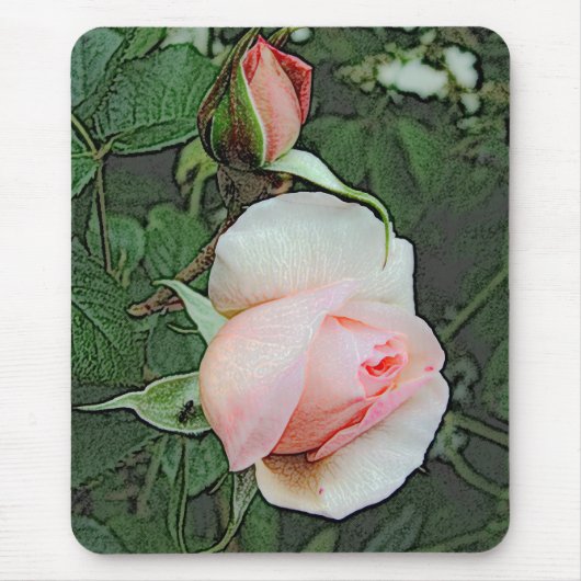 roze rozenbloemen muismat (Voorkant)