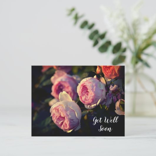 Roze Rozenbloemen Uit de Tuin Beterschap Briefkaart (Staand voorkant)