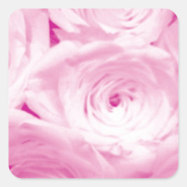 Roze rozenbloemen vierkante sticker voor huwelijks