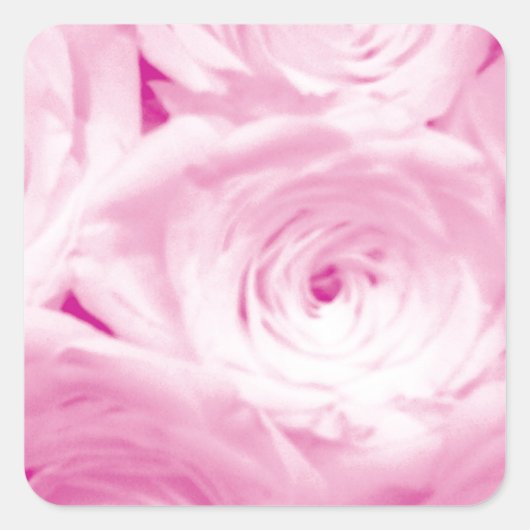 Roze rozenbloemen vierkante sticker voor huwelijks (Voorkant)