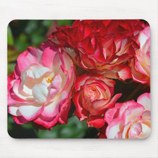 Roze rozenbloesems muismat (Voorkant)