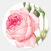 Roze rozenboegrootjes ronde sticker (Voorkant)