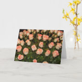 Roze rozenbriefkaart kaart (Gele Bloem)