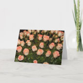 Roze rozenbriefkaart kaart (Voorkant)