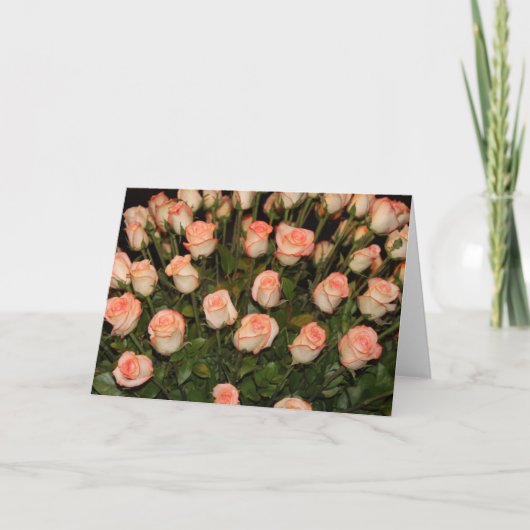 Roze rozenbriefkaart kaart (Voorkant)