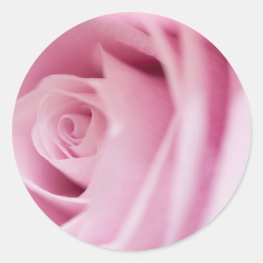 Roze rozenbruinzegels en Stickers (Voorkant)