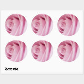 Roze rozenbruinzegels en Stickers (Vel)