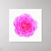 Roze rozencanvas afdrukken (Voorkant)