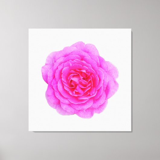 Roze rozencanvas afdrukken (Voorkant)