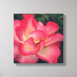Roze rozencanvas afdrukken