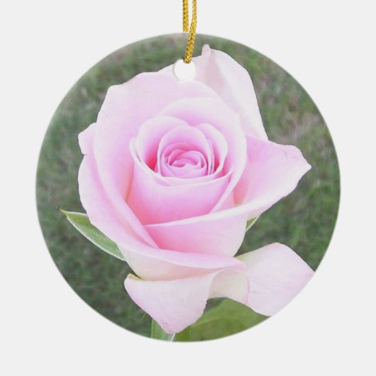 Roze rozengedenkteken Ornament-2 Keramisch Ornament (Voorkant)