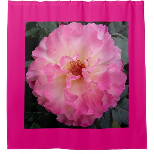 Roze rozengordijn douchegordijn (Voorkant)