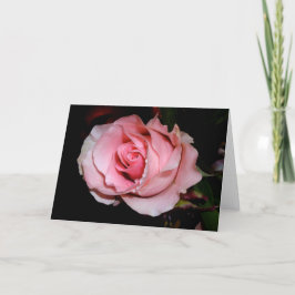 Roze Rozenkaart Kaart