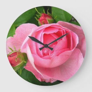 roze rozenklok grote klok