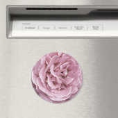 Roze rozenmagneten magneet (Insitu (Vaatwasser))