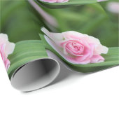 Roze rozenomverlooppapier cadeaupapier (Rol Hoek)