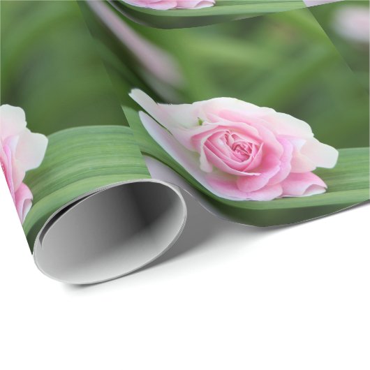 Roze rozenomverlooppapier cadeaupapier (Rol Hoek)