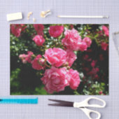 roze rozenpapier tissuepapier (Craft)