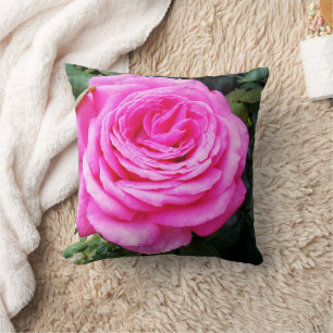 Roze rozenpassie, kussen