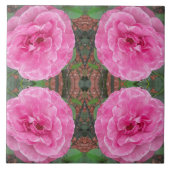 Roze rozenpatroon tegeltje (Voorkant)