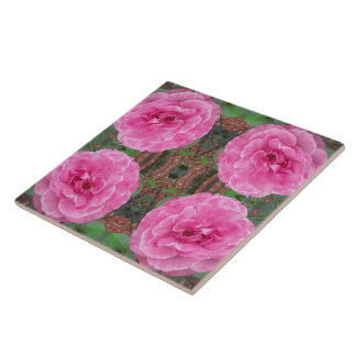 Roze rozenpatroon tegeltje