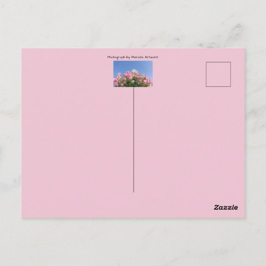 Roze rozenstruik onder blauwe lucht, op maat gemaa briefkaart (Achterkant)