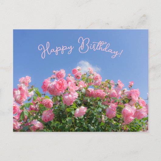 Roze rozenstruik onder blauwe lucht, op maat gemaa briefkaart (Voorkant)