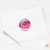 Roze rozenticker ronde sticker (Envelop)