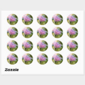 Roze rozenticker ronde sticker (Vel)